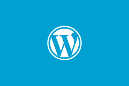 WordPress 速度优化 – Perfmatters v1.8.6 轻量级性能插件